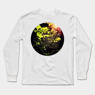 Spiderweb in the Forest Long Sleeve T-Shirt